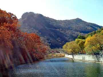 澳门天天免费精准大全，黑狼基地